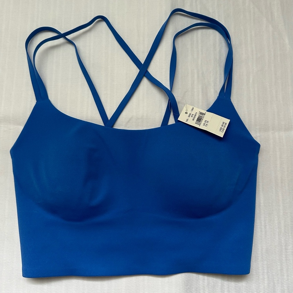 blue aerie sports bra